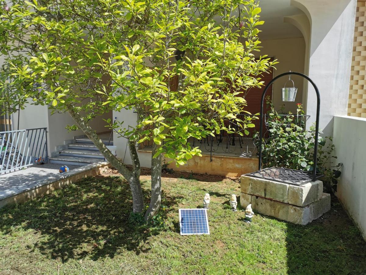 Bed and Breakfast Magnolia Alezio Exterior foto