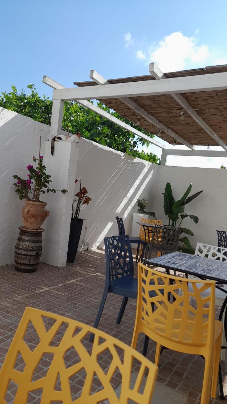 Bed and Breakfast Magnolia Alezio Exterior foto